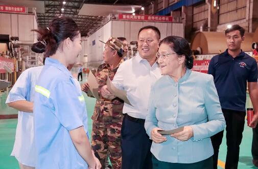 老撾國家副主席巴妮•雅陶都調研太陽紙業(yè)老撾基地