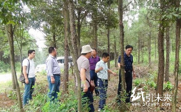 督察組在查看項目實施基地