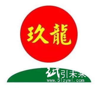 玖龍紙業(yè)