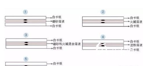 斑點(diǎn)1