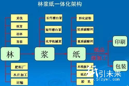 晨鳴紙業(yè)