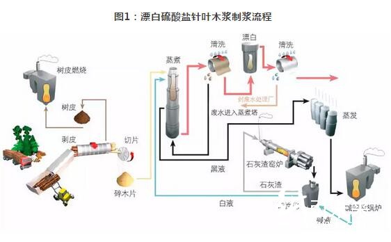 紙漿的生產(chǎn)流程和應(yīng)用